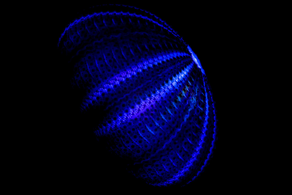 Platz 9 Günter Bollenbacher